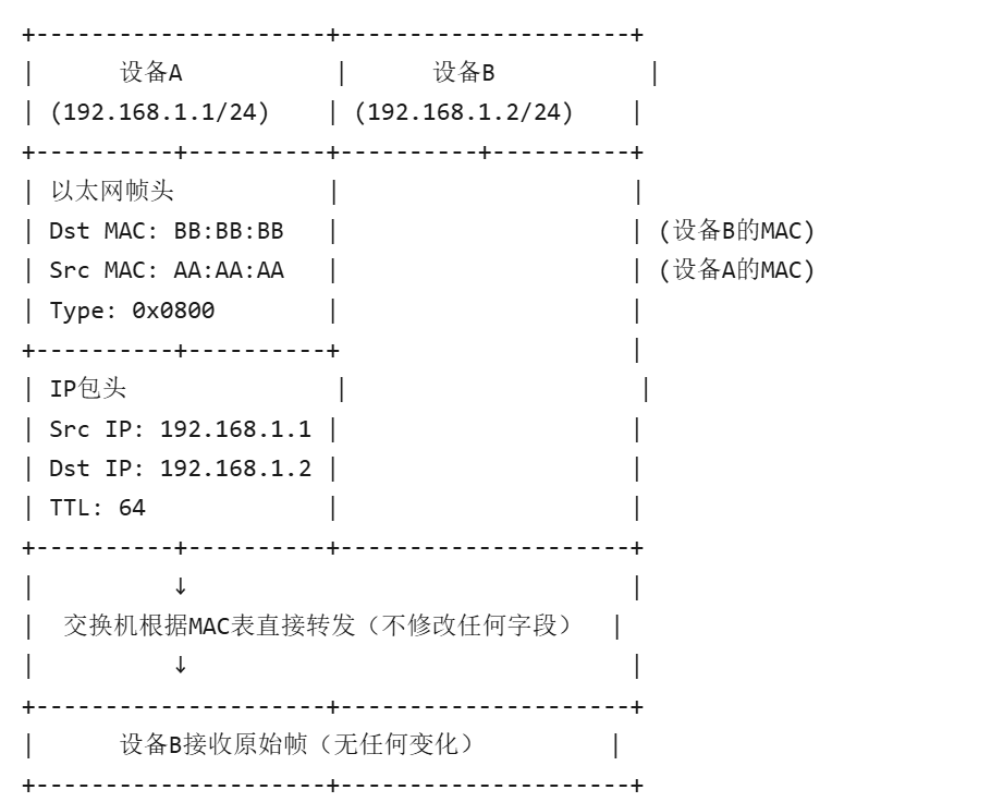image-20250513011748883