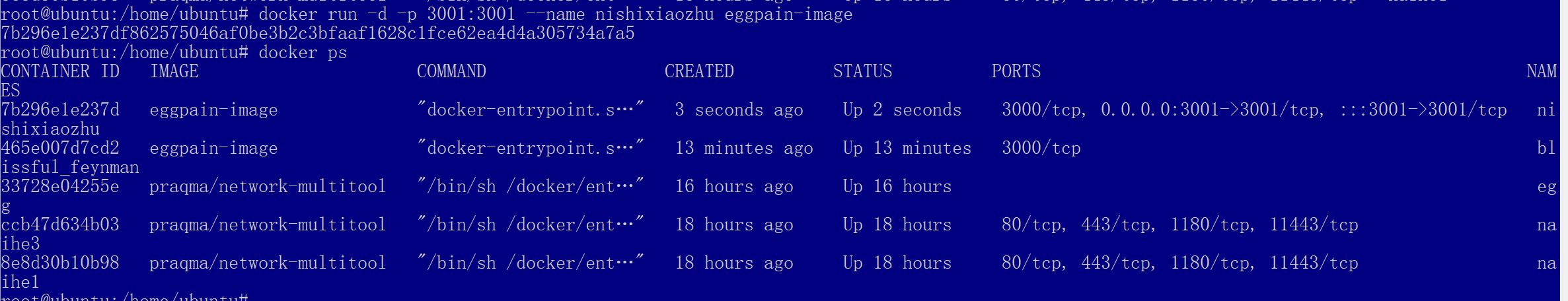 image-20250528134152450