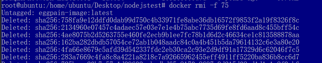 image-20250528155442820